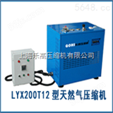LYW400T24LYW400T24型微型天然气压缩机